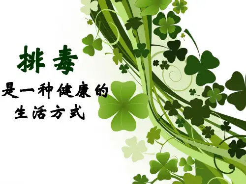 排毒PPT课件