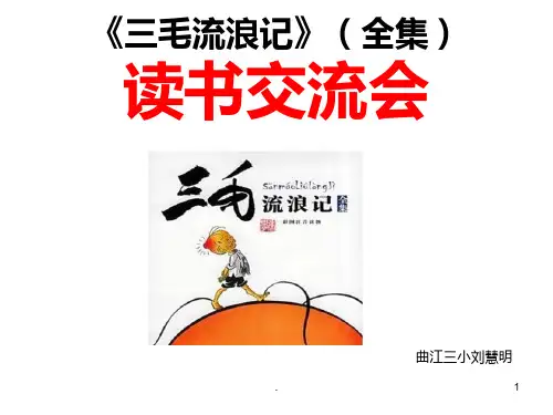 《三毛流浪记》全集读书交流会PPT课件