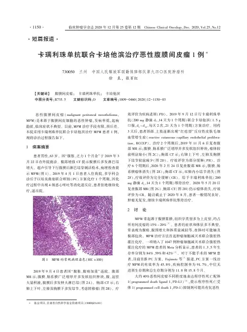 卡瑞利珠单抗联合卡培他滨治疗恶性腹膜间皮瘤1例