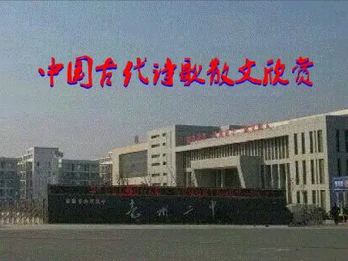 项脊轩志
