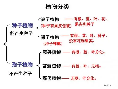 浙教版七上第二章第六节物种的多样性+ppt