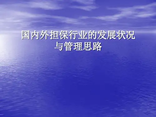 9  国内外担保行业的发展状况与管理思路