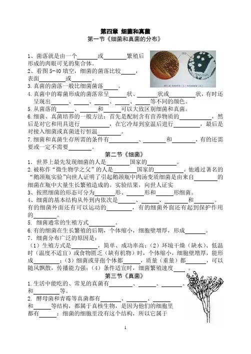 第四章 细菌和真菌复习提纲
