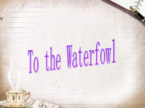 致水鸟to_the_waterfowl
