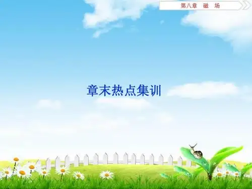 2019届高考物理(人教浙江版)一轮复习课件：第8章磁场5章末热点集训