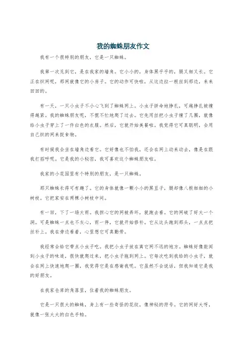 我的蜘蛛朋友作文