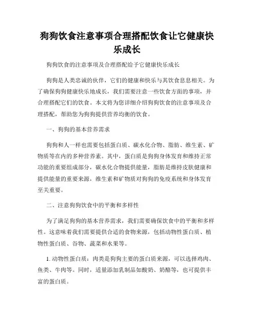 狗狗饮食注意事项合理搭配饮食让它健康快乐成长