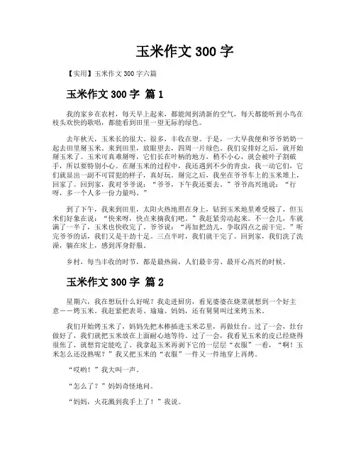 玉米作文300字