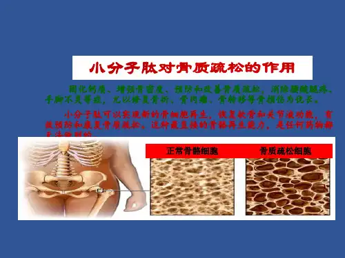 肽的作用PPT课件
