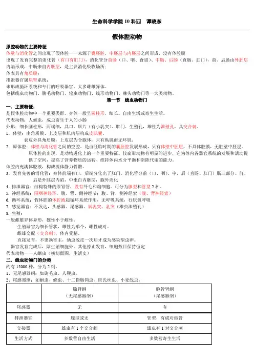 假体腔动物环节动物