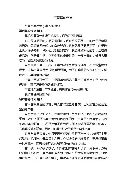 写芦荟的作文（精选37篇）