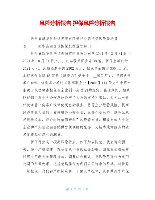 风险分析报告 担保风险分析报告 