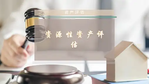 资 源 性 资 产 评 估