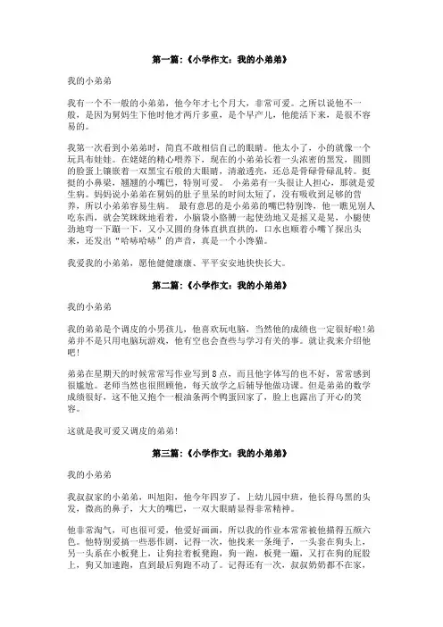 我的要个小弟弟作文400字