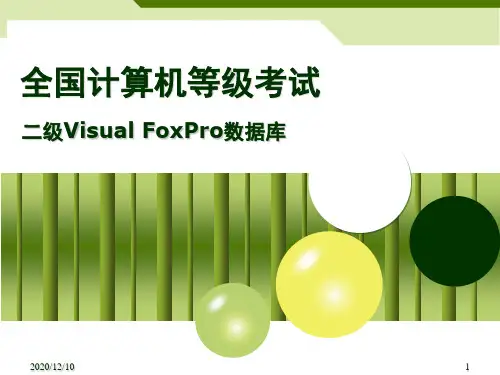 全国二级VF考试复习要点PPT教学课件