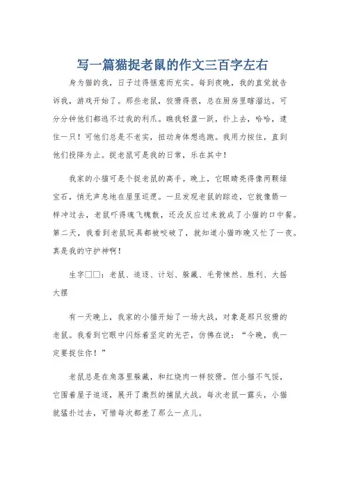 写一篇猫捉老鼠的作文三百字左右
