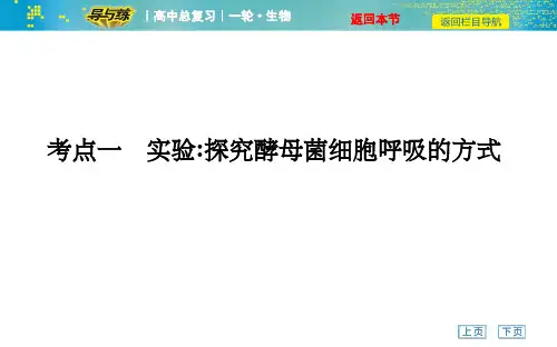考点一 实验探究酵母菌细胞呼吸的方式