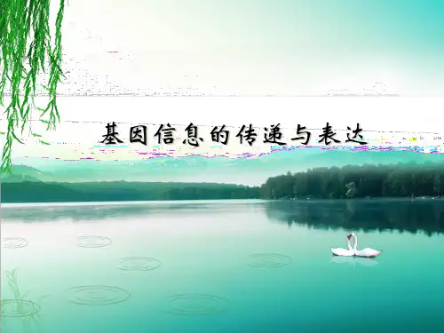 遗传信息的传递与表达