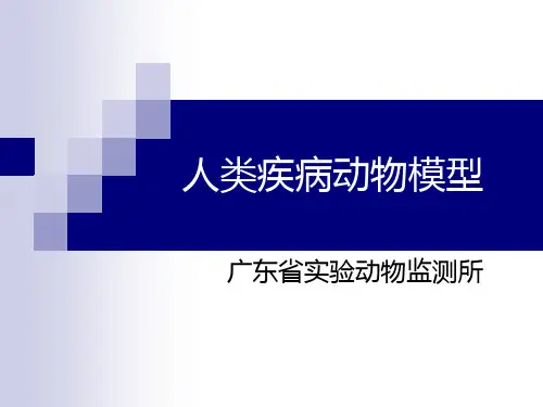 人类疾病动物模型