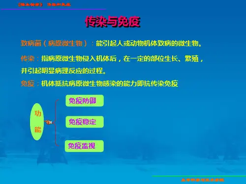 微生物学10传染与免疫