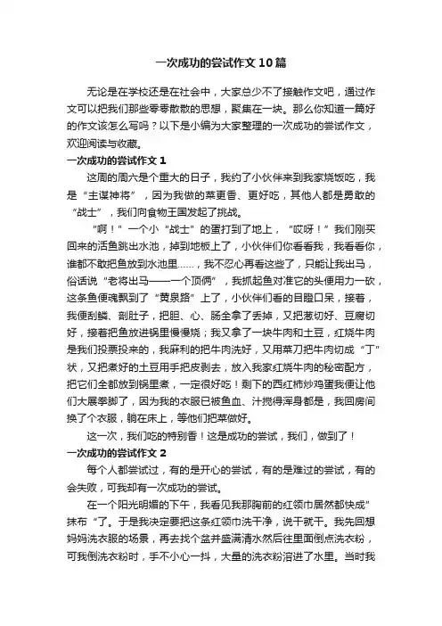 一次成功的尝试作文10篇