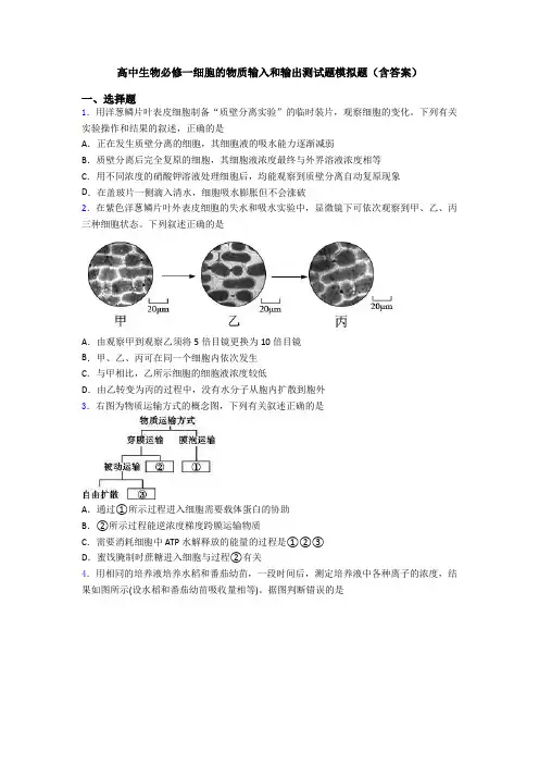 高中生物必修一细胞的物质输入和输出测试题模拟题(含答案)