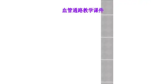 血管通路教学课件