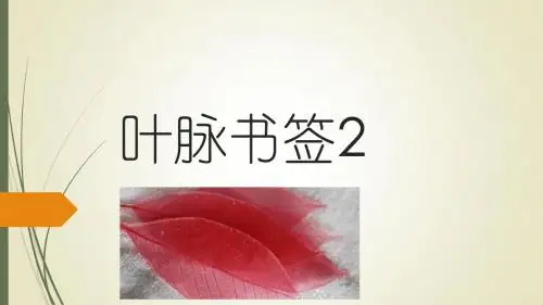 叶脉书签