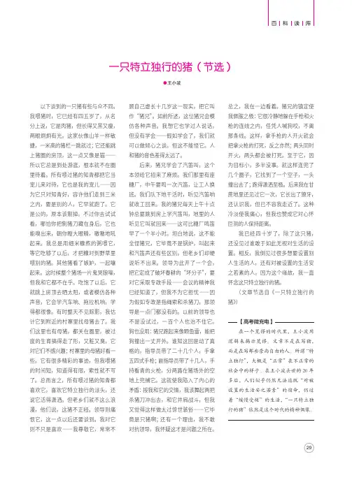 一只特立独行的猪(节选)