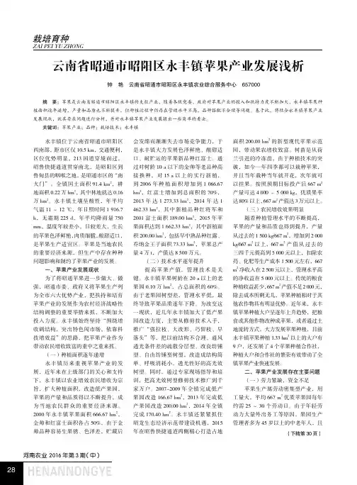 云南省昭通市昭阳区永丰镇苹果产业发展浅析