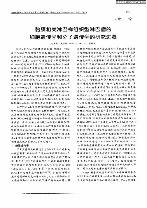 黏膜相关淋巴样组织型淋巴瘤的细胞遗传学与分子遗传学的研究进展
