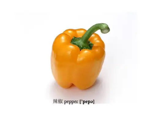 各种蔬菜英语翻译大全--图片单词汉字 发音