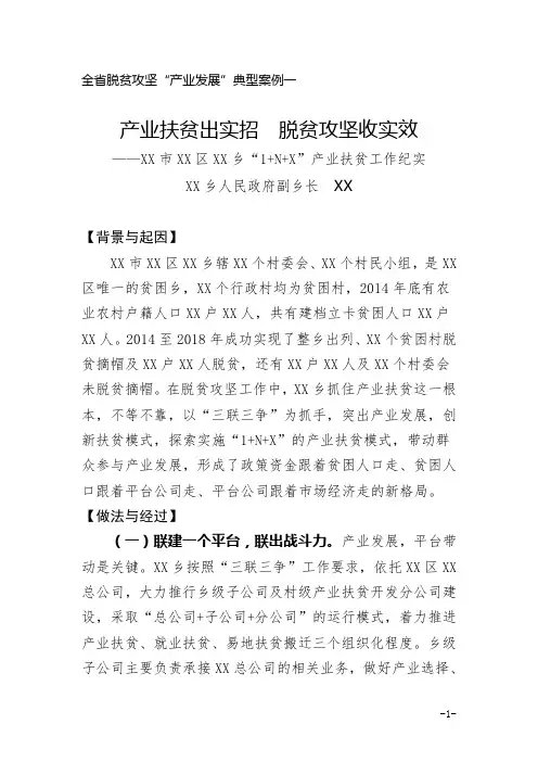 XX省XX区XX乡脱贫攻坚“产业发展”典型案例一