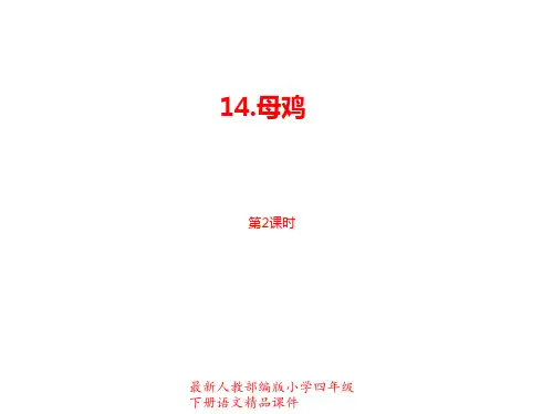 最新部编版小学四年级下册语文精品课件第4单元第14课《母鸡》课时2