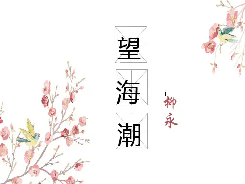 统编版高中语文选择性必修下册4.1《望海潮(东南形胜)》课件ppt(49页)