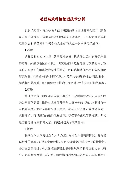 毛豆高效种植管理技术分析