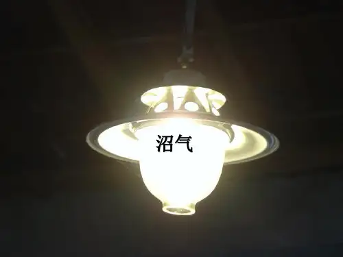 生物质能源-关于沼气(精)