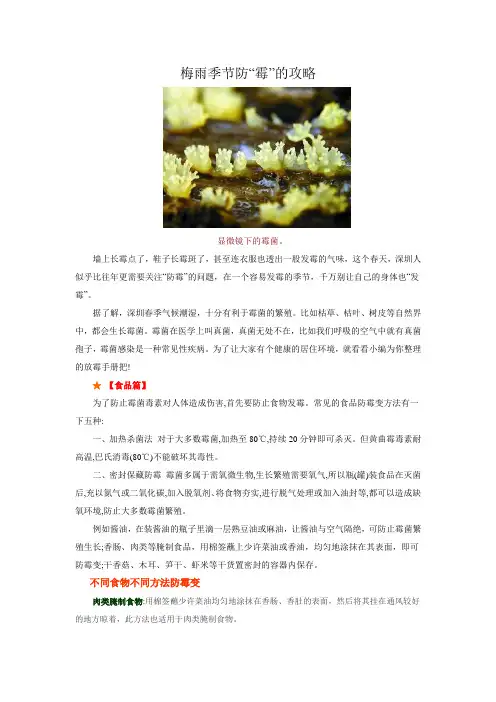 梅雨季节防“霉”的攻略