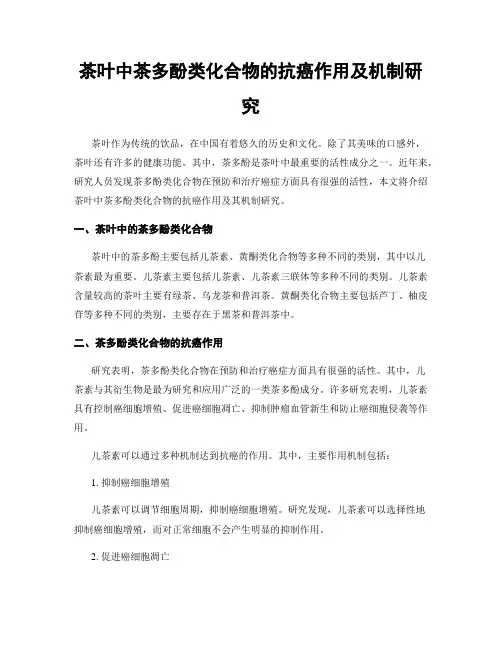 茶叶中茶多酚类化合物的抗癌作用及机制研究