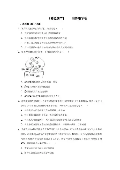 高二生物《神经调节》专题同步练习卷含答案