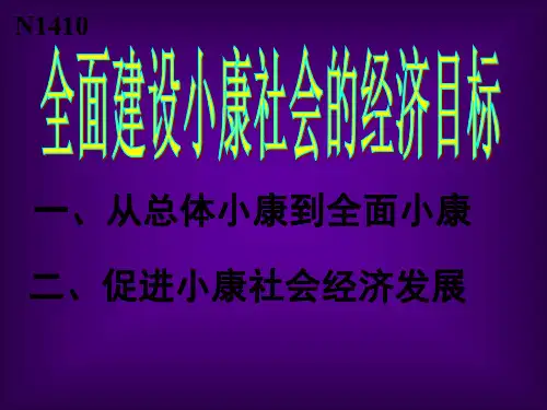 全面建设小康社会的经济目标(1)-P
