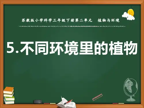 新苏教版(2020版)科学三年级下册教学课件 5.不同环境里的植物
