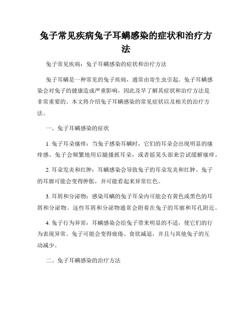 兔子常见疾病兔子耳螨感染的症状和治疗方法