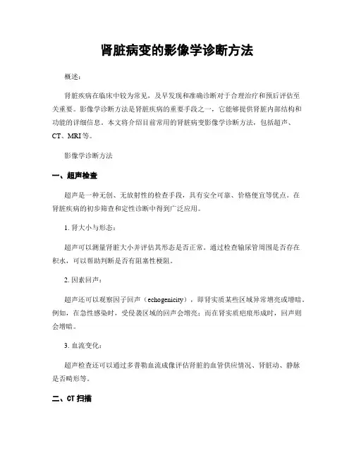 肾脏病变的影像学诊断方法
