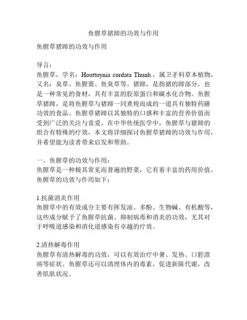 鱼腥草猪蹄的功效与作用