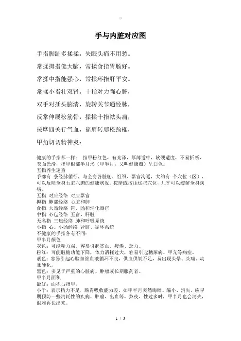 342手与内脏对应图【zj】