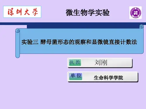酵母菌形态的观察和显微镜直接计数法