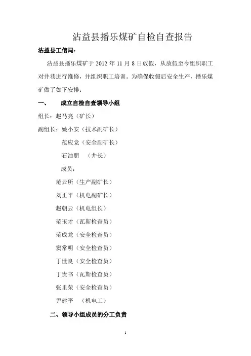 自检自查报告 2