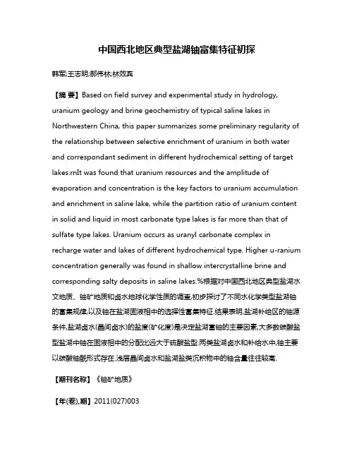 中国西北地区典型盐湖铀富集特征初探