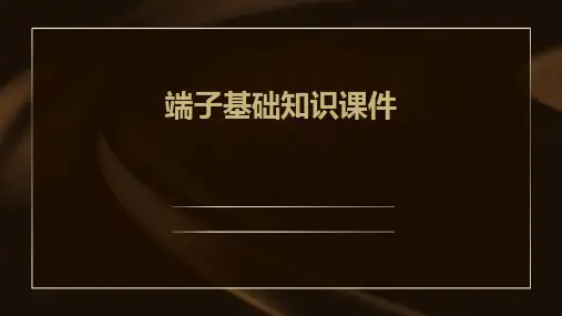 端子基础知识课件